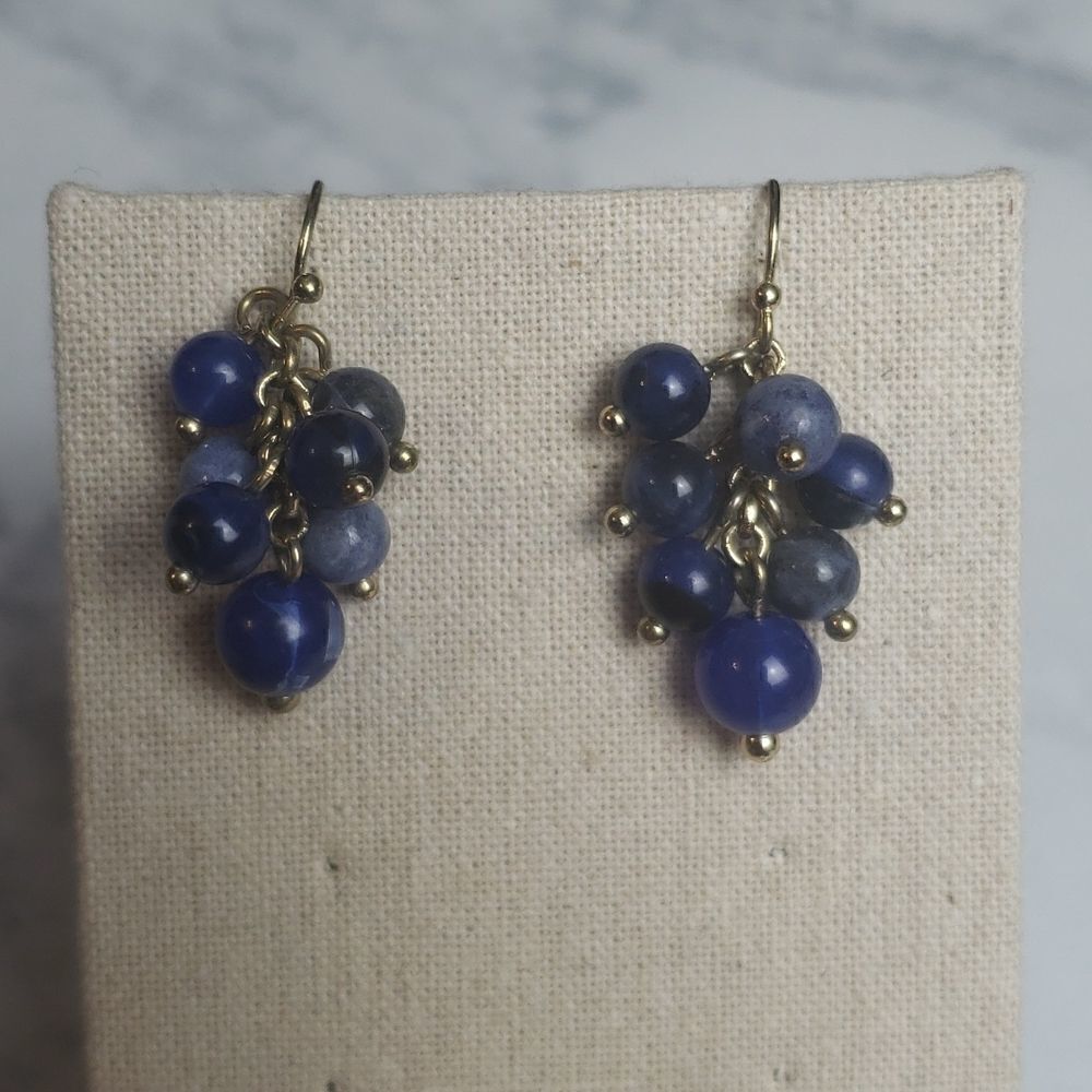 Blue Dangle Earrings